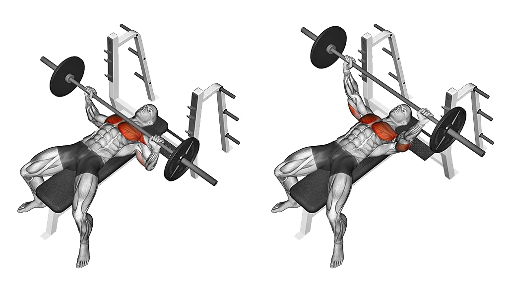 Bench Press (Barbell)