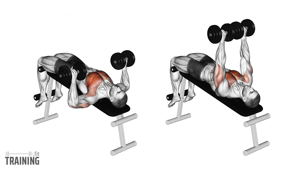 Dumbbell Chest Press